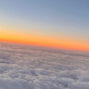 Meet your Posher, Adison